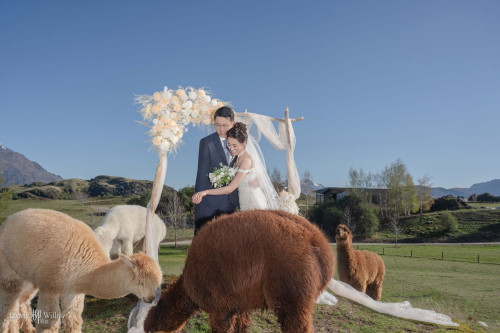 202510010ling-caonima0027