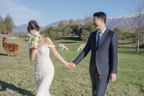 202510010ling-caonima0141