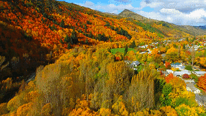 arrowtown-aerial1