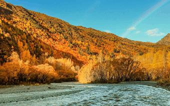 arrowtown-tlgif