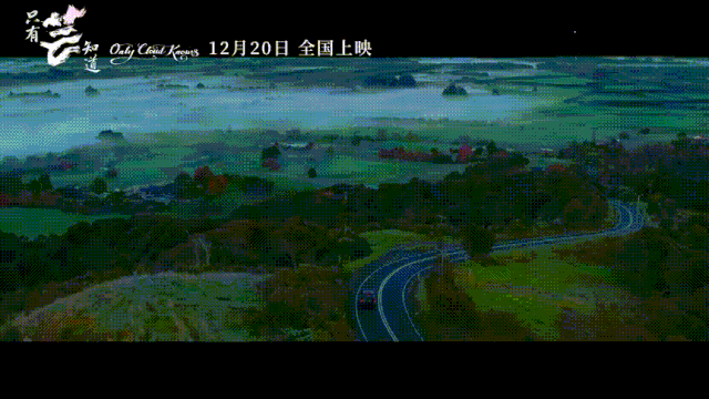 fogmotorway
