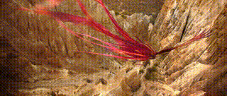 huamulan-claycliff